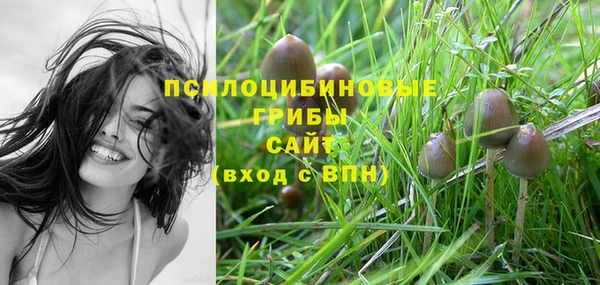 экстази Покачи
